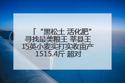 “黑松土 活化肥”寻找最美粮王 莘县王巧英小麦实打实收亩产1515.4斤 超对照田144斤！