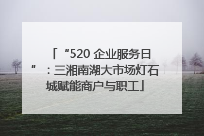 “520 企业服务日”：三湘南湖大市场灯石城赋能商户与职工
