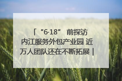 “6·18” 前探访内江服务外包产业园 近万人团队还在不断拓展｜内江东兴“红”在哪⑤
