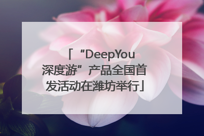 “DeepYou深度游”产品全国首发活动在潍坊举行