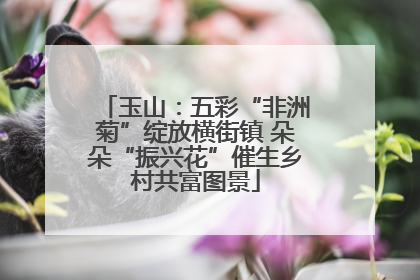 玉山：五彩“非洲菊”绽放横街镇 朵朵“振兴花”催生乡村共富图景