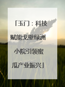 玉门：科技赋能戈壁绿洲 小院引领蜜瓜产业振兴