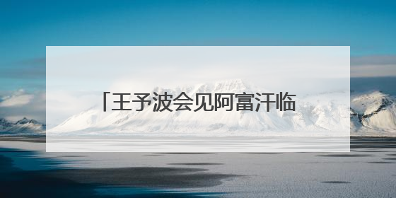 王予波会见阿富汗临时政府代理副总理阿卜杜·萨拉姆·哈纳菲