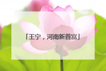 王宁，河南新首富