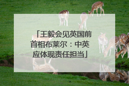 王毅会见英国前首相布莱尔：中英应体现责任担当
