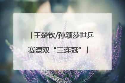 王楚钦/孙颖莎世乒赛混双“三连冠”