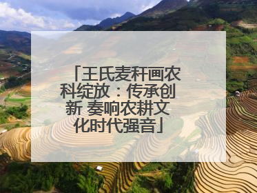 王氏麦秆画农科绽放：传承创新 奏响农耕文化时代强音
