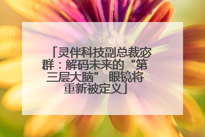 灵伴科技副总裁宓群：解码未来的“第三层大脑” 眼镜将重新被定义
