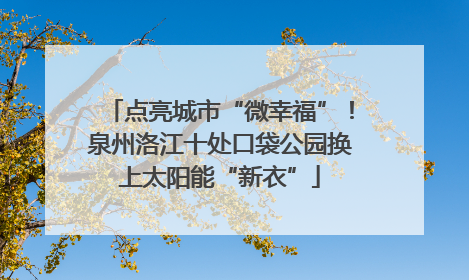点亮城市“微幸福”！泉州洛江十处口袋公园换上太阳能“新衣”