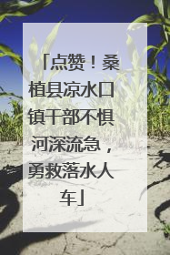 点赞！桑植县凉水口镇干部不惧河深流急，勇救落水人车
