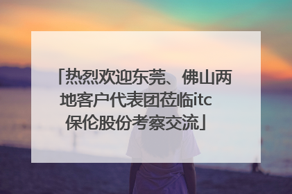 热烈欢迎东莞、佛山两地客户代表团莅临itc保伦股份考察交流