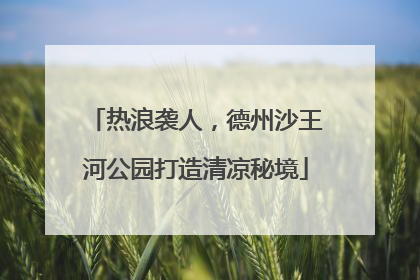 热浪袭人，德州沙王河公园打造清凉秘境