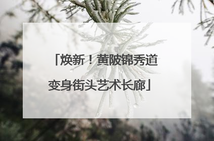 焕新！黄陂锦秀道变身街头艺术长廊