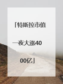 特斯拉市值一夜大涨4000亿