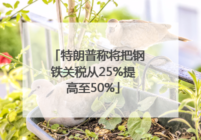 特朗普称将把钢铁关税从25%提高至50%