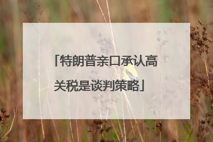 特朗普亲口承认高关税是谈判策略