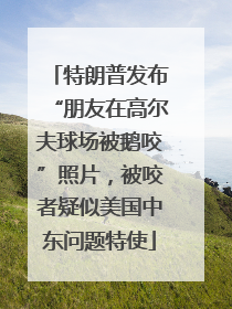 特朗普发布“朋友在高尔夫球场被鹅咬”照片，被咬者疑似美国中东问题特使
