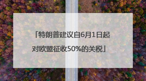 特朗普建议自6月1日起对欧盟征收50%的关税