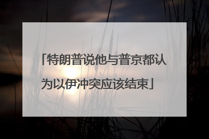 特朗普说他与普京都认为以伊冲突应该结束