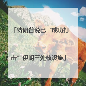 特朗普说已“成功打击”伊朗三处核设施