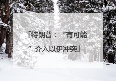 特朗普：“有可能”介入以伊冲突