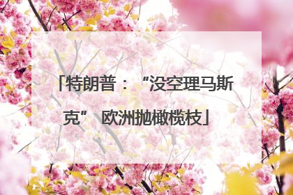 特朗普：“没空理马斯克” 欧洲抛橄榄枝