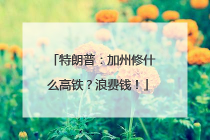 特朗普：加州修什么高铁？浪费钱！
