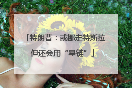 特朗普：或挪走特斯拉 但还会用“星链”