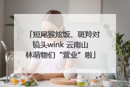 短尾猴炫饭、斑羚对镜头wink 云南山林萌物们“营业”啦