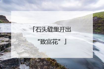 石头缝里开出“致富花”