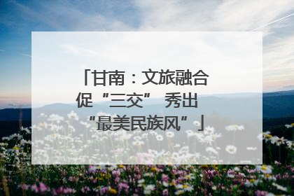 甘南：文旅融合促“三交” 秀出“最美民族风”