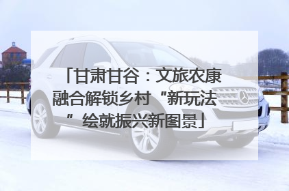 甘肃甘谷：文旅农康融合解锁乡村“新玩法”绘就振兴新图景