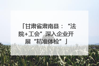 甘肃省肃南县：“法院+工会”深入企业开展“精准体检”