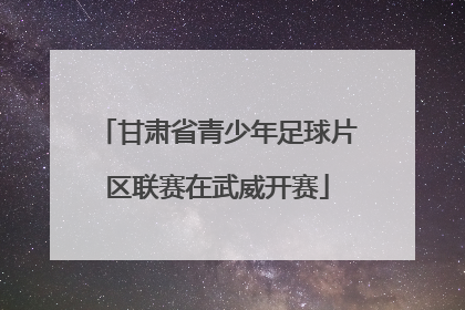 甘肃省青少年足球片区联赛在武威开赛