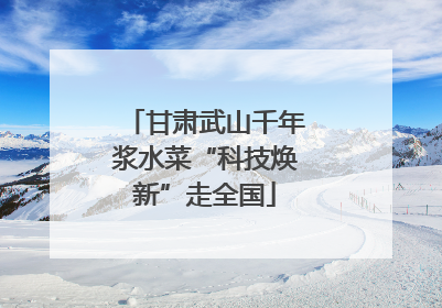 甘肃武山千年浆水菜“科技焕新”走全国