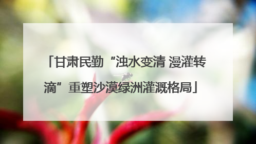 甘肃民勤“浊水变清 漫灌转滴”重塑沙漠绿洲灌溉格局