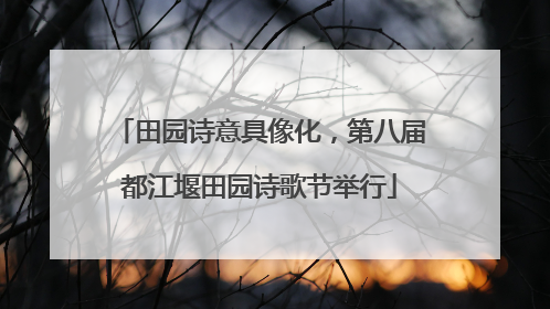 田园诗意具像化，第八届都江堰田园诗歌节举行