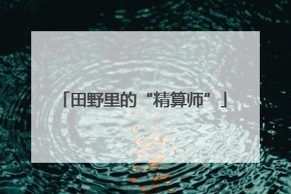 田野里的“精算师”