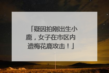 疑因拍刚出生小鹿，女子在市区内遭梅花鹿攻击！