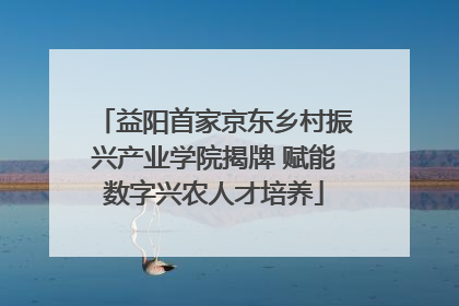 益阳首家京东乡村振兴产业学院揭牌 赋能数字兴农人才培养