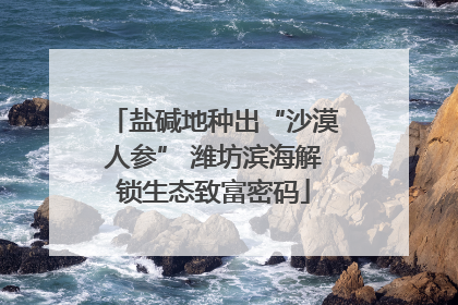 盐碱地种出“沙漠人参” 潍坊滨海解锁生态致富密码