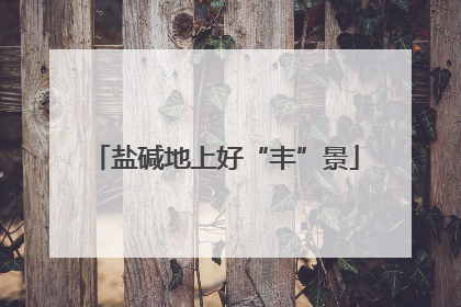 盐碱地上好“丰”景