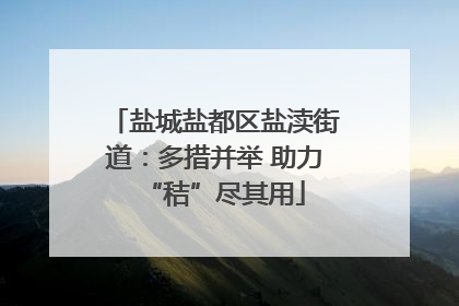 盐城盐都区盐渎街道：多措并举 助力“秸”尽其用