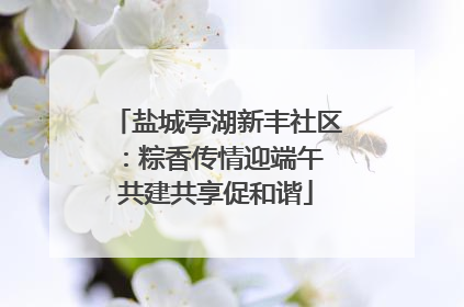 盐城亭湖新丰社区：粽香传情迎端午 共建共享促和谐