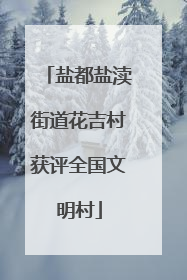 盐都盐渎街道花吉村获评全国文明村