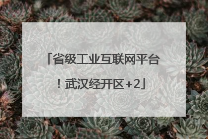 省级工业互联网平台！武汉经开区+2