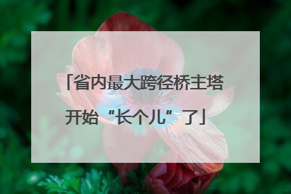 省内最大跨径桥主塔开始“长个儿”了