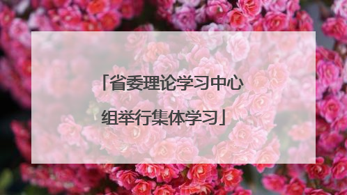 省委理论学习中心组举行集体学习