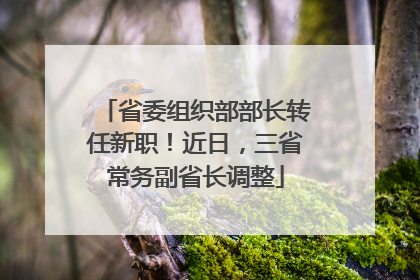省委组织部部长转任新职！近日，三省常务副省长调整