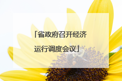省政府召开经济运行调度会议